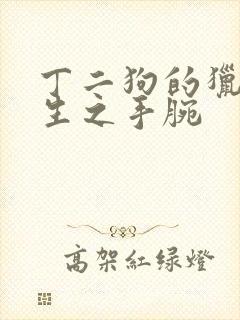 丁二狗的猎艳人生之手腕