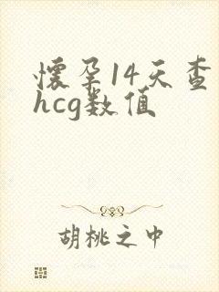 怀孕14天查血hcg数值