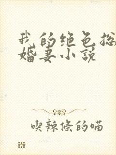 我的绝色总裁未婚妻小说