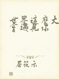 世界这么大还是会遇见你