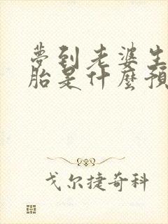 梦到老婆生双胞胎是什么预兆