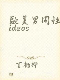 欧美男同性恋videos