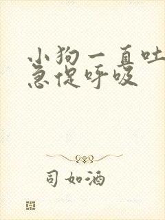 小狗一直吐舌头急促呼吸