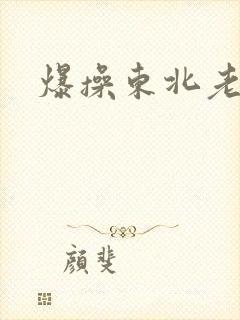 爆操东北老女人