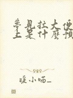 梦见拉大便在床上是什么预兆解梦