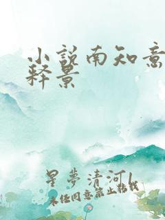 小说南知意与帝释景