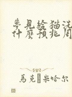 梦见给猫洗澡是什么预兆周公解梦