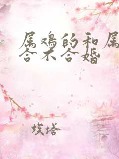 属鸡的和属兔的合不合婚