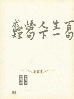 感悟人生百味的短句下一句