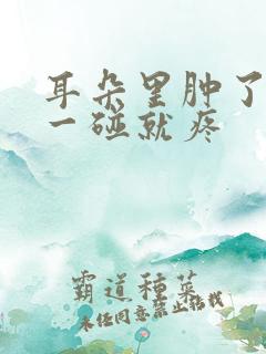 耳朵里肿了个包一碰就疼