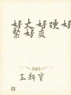 好大好硬好湿好紧好爽