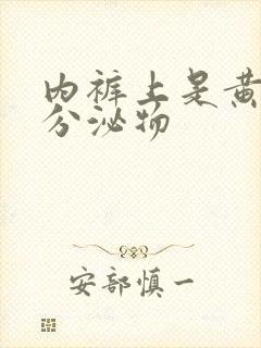 内裤上是黄色的分泌物