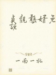 贞观憨婿免费小说