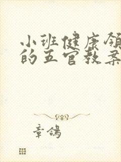 小班健康领域我的五官教案