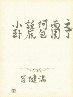 小说柯南之我被卧底包围了完整版