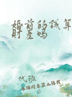 婚前的钱算共同财产吗