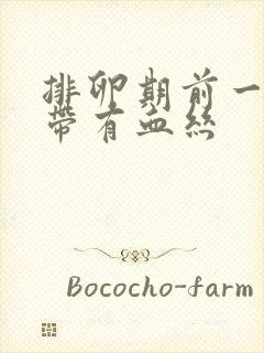 排卵期前一天白带有血丝