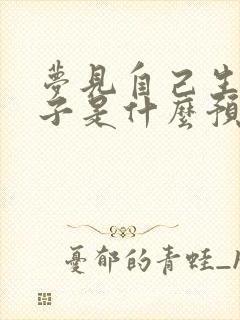 梦见自己生男孩子是什么预兆解梦