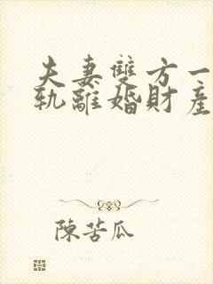 夫妻双方一方出轨离婚财产怎么分割