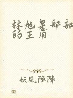 林旭是哪部小说的主角