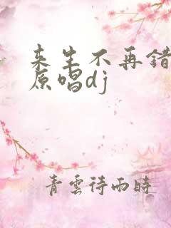 来生不再错过你原唱dj