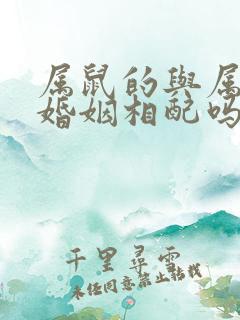 属鼠的与属兔的婚姻相配吗