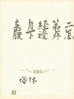 来月经第二天小腹下边疼怎么回事