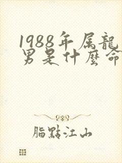 1988年属龙男是什么命运势