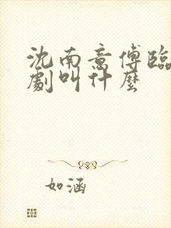 沈南意傅临洲短剧叫什么