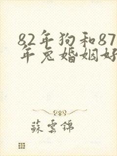 82年狗和87年兔婚姻好不好