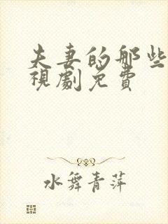 夫妻的那些事电视剧免费