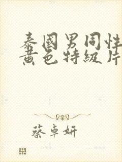 泰国男同性恋的黄色特级片