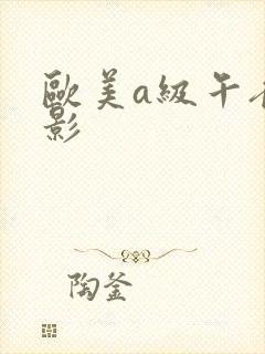 欧美a级午夜电影