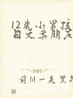 12岁小男孩生日文案朋友圈