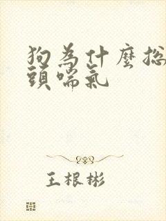 狗为什么总伸舌头喘气