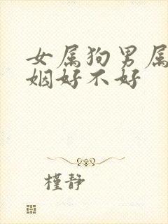 女属狗男属马婚姻好不好