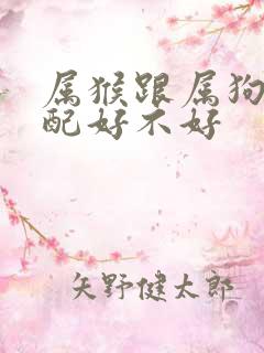 属猴跟属狗的婚配好不好