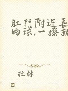 肛门附近长了个肉球,一擦就出血