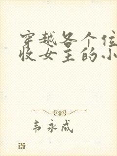 穿越各个位面狂收女主的小说