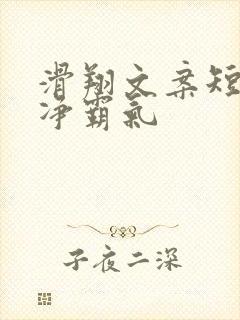 滑翔文案短句干净霸气