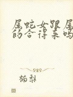 属蛇女跟属狗男的合得来吗