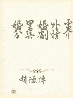 婚里婚外电视剧分集剧情介绍