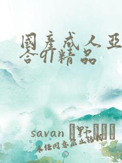 国产成人亚洲综合91精品