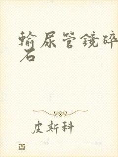 输尿管镜碎石取石