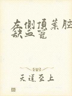 左侧顶叶腔隙性缺血灶