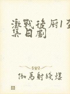 激战后厨1至5集日剧