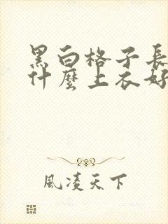 黑白格子长裙配什么上衣好看