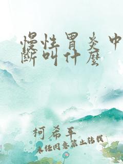 慢性胃炎中医诊断叫什么