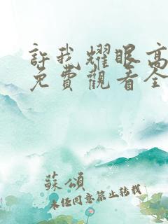 许我耀眼高清版免费观看全集