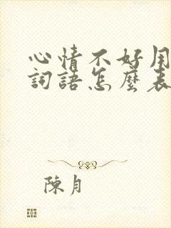 心情不好用什么词语怎么表达